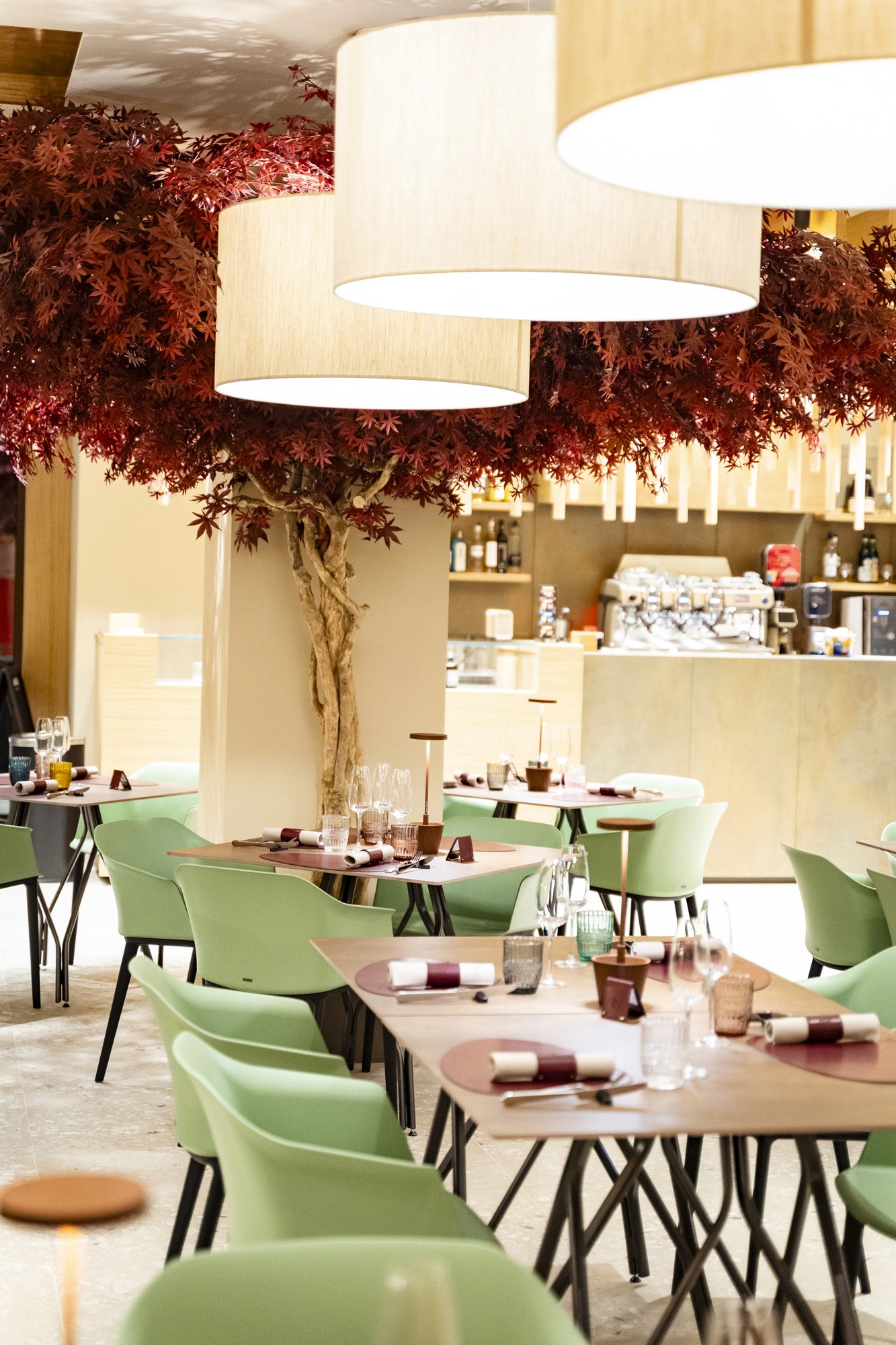 La sala di Acero Rosso con l'albero d'acero